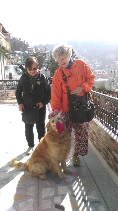 The Thistle Lodge Shimla Exteriör bild